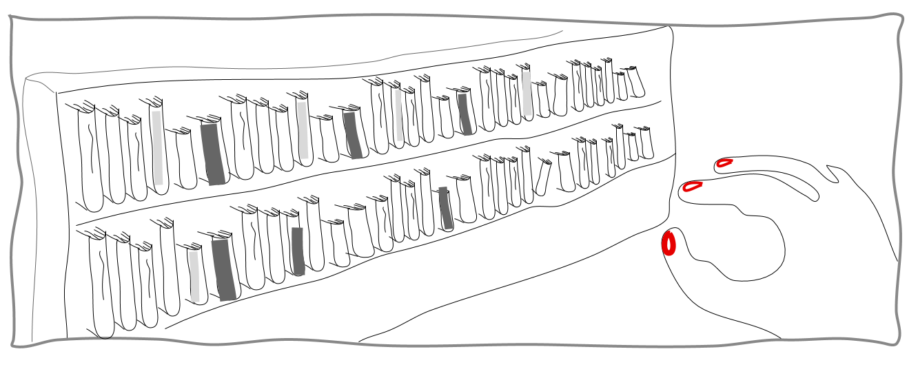 Page Lead Image